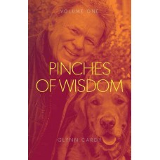 Pinches of Wisdom_volume 1