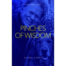 Pinches of Wisdom_Volume 2